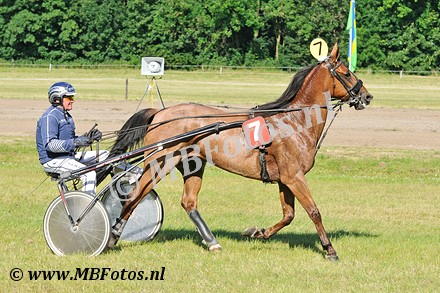 Koers 3. Apache Wolfhorn3.jpg