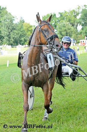 Koers 5. Apache Wolfhorn2.jpg
