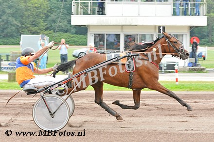 Koers 9. Elegance Fanatic2.jpg