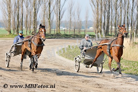 _MBF1164.jpg