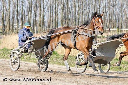 _MBF1193.jpg
