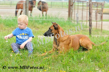 _MBF9639.jpg