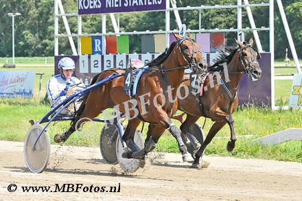Koers 6. Ervin Boko1.jpg