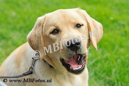_MBF6607.jpg