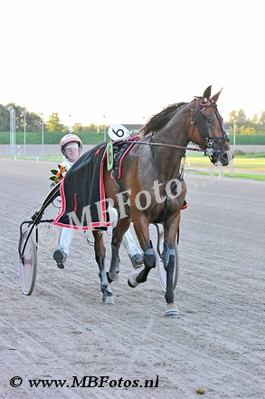 Koers 9. Diamond4.jpg