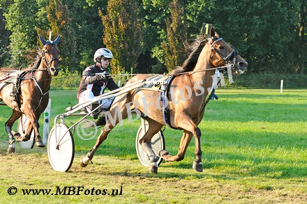 Koers 6. Apache Wolfhorn1.jpg