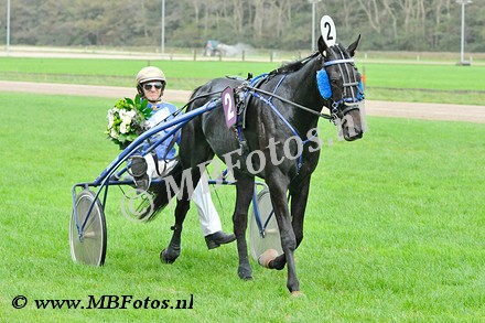 Koers 8. Zhao Burgerheide2.jpg