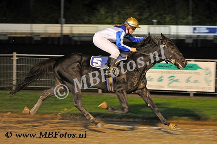Koers 4. Brutus1.jpg