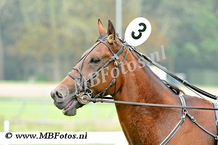 _MBF1798.jpg