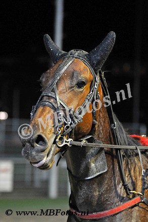 Koers 5. Eliza Star N2.jpg