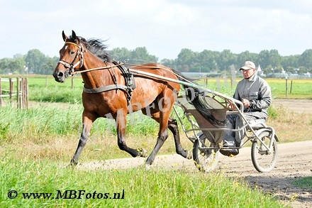 _MBF4708.jpg