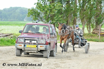 _MBF4818.jpg