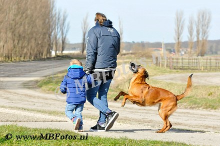 _MBF0008.jpg