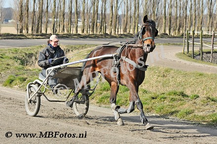 _MBF0090.jpg