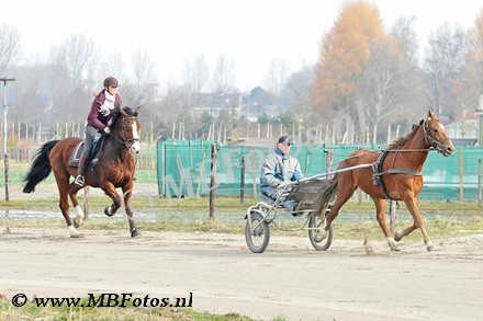 _MBF0800.jpg