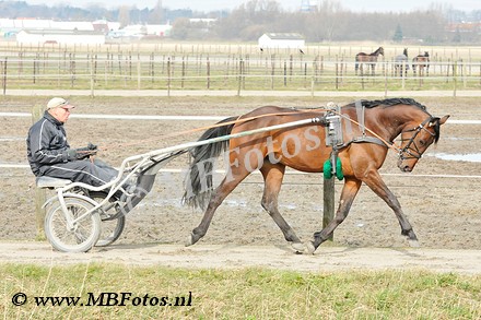 _MBF0890.jpg