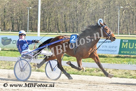 Koers 2. Fuggedaboutit1.jpg