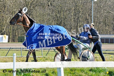 Koers 10. Brazil Elegance2.jpg