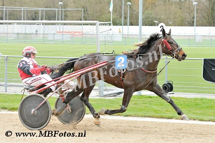 Koers 2. Darwin Boko1.jpg