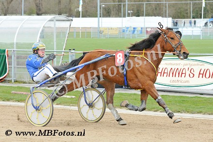 Koers 3. Eye of the tiger1.jpg