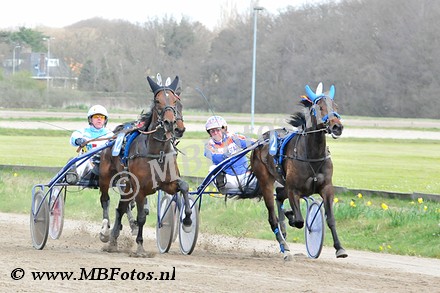 koers 2. Mountain Rose1.jpg