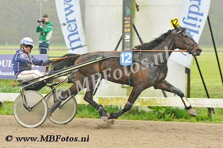 Koers 2. Dancing Star1.jpg