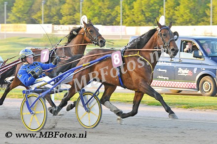 Koers 8. Paolendry Like1.jpg