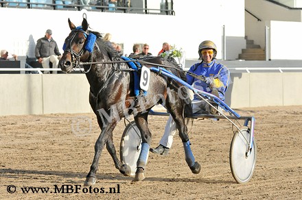 Koers 5. Bachelor Kingly3.jpg