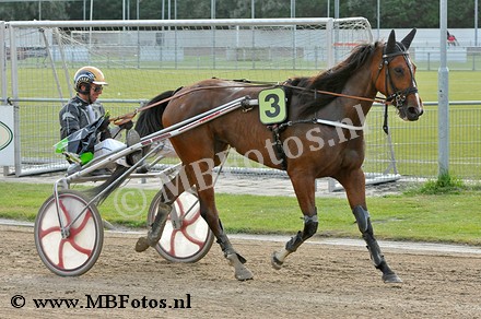 Koers 4. Easy Tolli T3.jpg