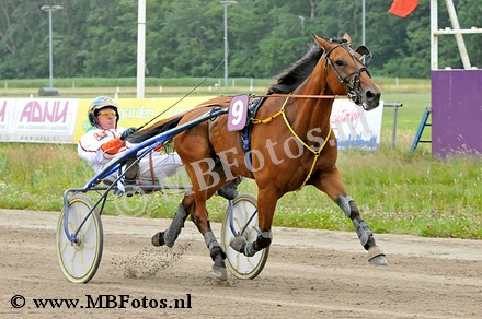Koers 8. Eye of the tiger1.jpg