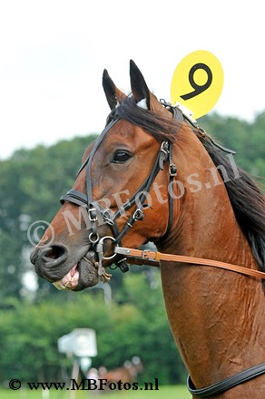 Koers 3. Fernando5.jpg