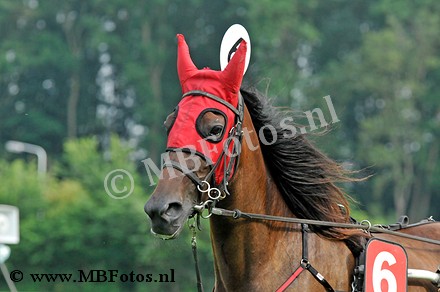 _MBF0815.jpg