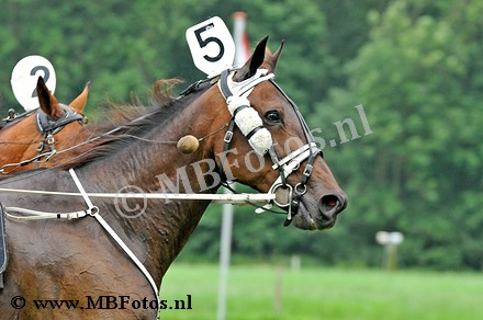 _MBF1226.jpg