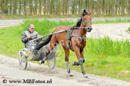 _MBF0841.jpg