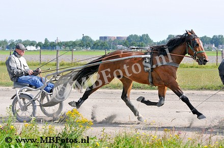 _MBF3449.jpg