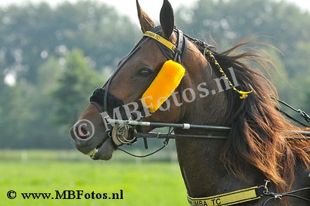 _MBF7968.jpg