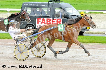 Koers 4. Eye of the tiger1.jpg