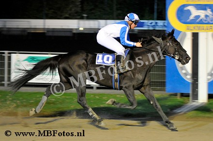Koers 4. Brutus1.jpg