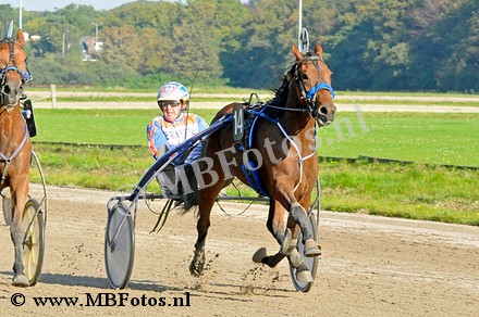 Koers 6. Samson Ris1.jpg