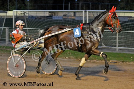 Koers 2. Baccardicci4.jpg