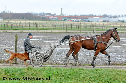 _MBF0339.jpg