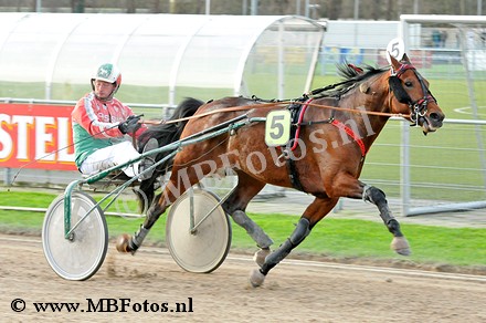 Koers 4. Fernando Meadow1.jpg