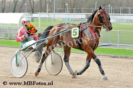 Koers 4. Fernando Meadow4.jpg