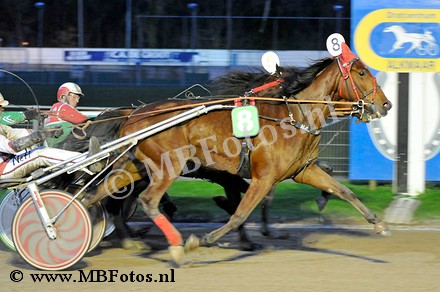 Koers 9. Dinand Convital2.jpg