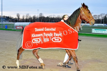 Paradepaard3.jpg