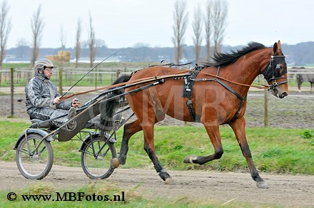 _MBF4809.jpg