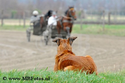 _MBF4959.jpg