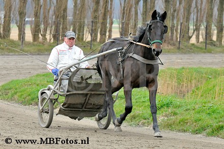 _MBF5012.jpg