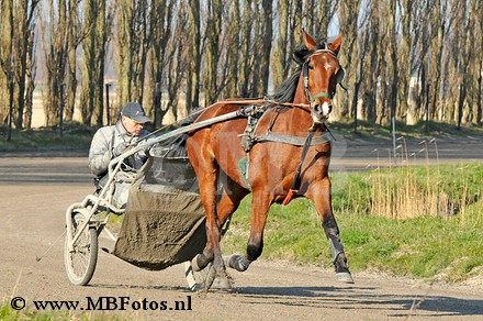 _MBF6570.jpg