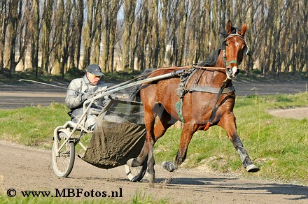 _MBF6609.jpg